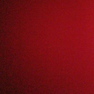 Meet your Posher, Ashlyn